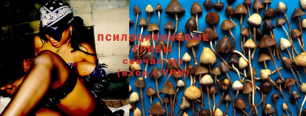 тгк Алексин