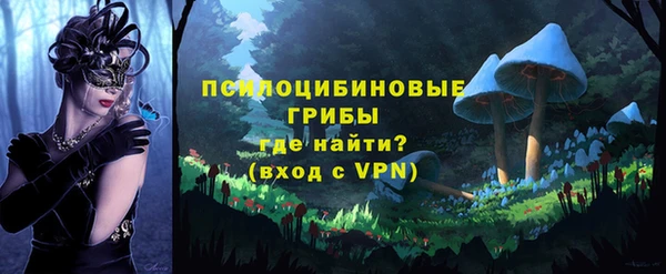 дживик Алзамай