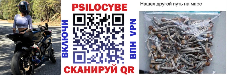 цены   Асино  Псилоцибиновые грибы мицелий 